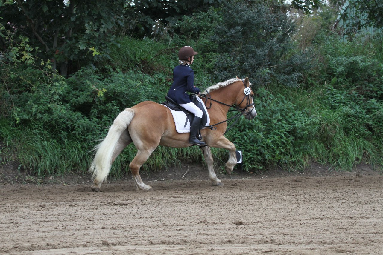 Bild 1029 - WBO-Turnier am 18.9.11